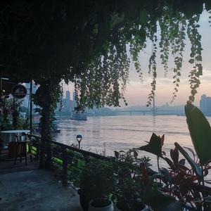 薄纱美女免费观看
